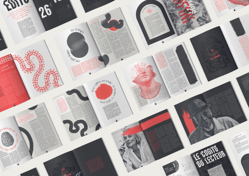 bachelor-designer-graphique