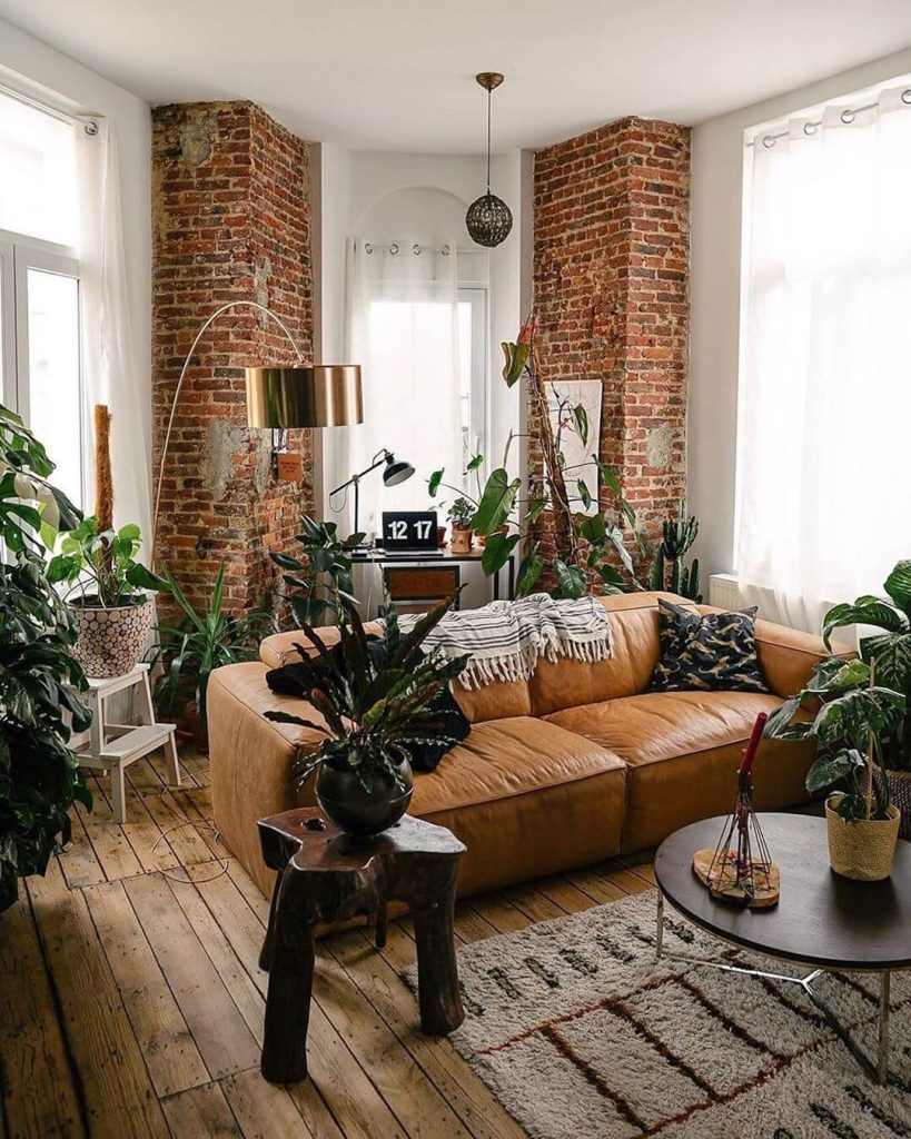 visuel d'un intérieur avec beaucoup de plantes