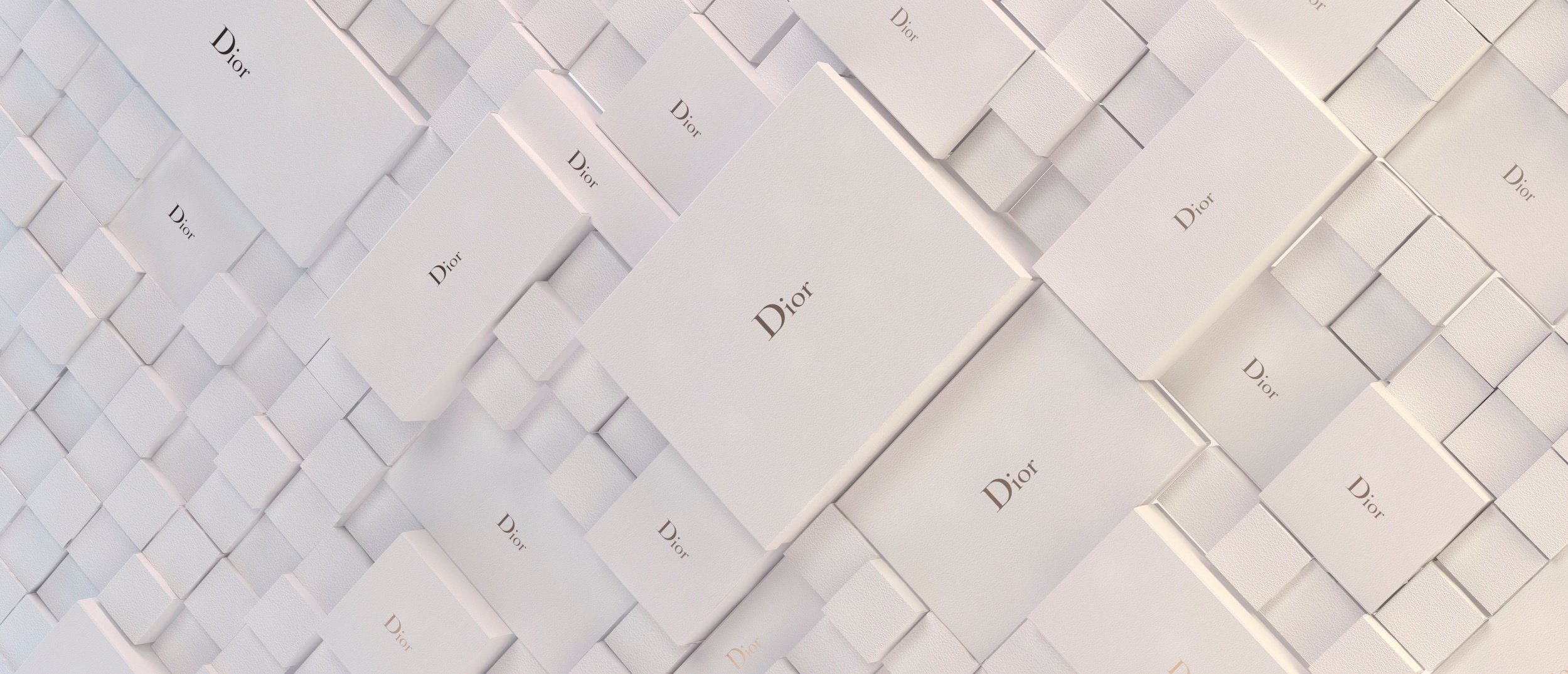 Dior-interview-violaine-raguin